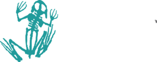 Frogbones Logo